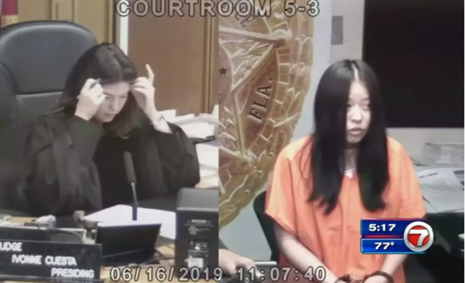 中国女子在海滩“摸”海龟被捕，或被判5年|无视规则的人，终将被规则惩罚