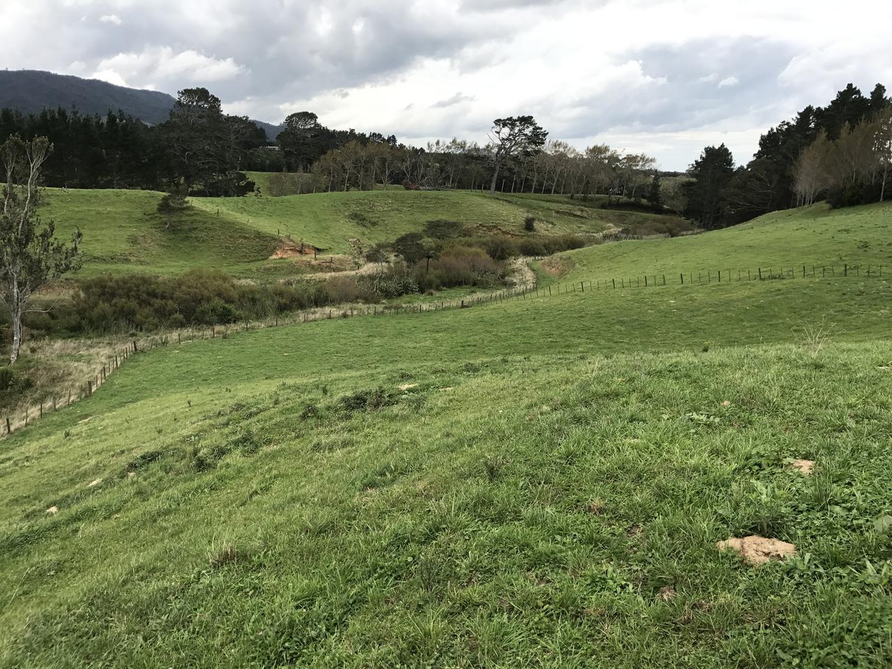 11/4 Tyers Road, Ngauranga, Wellington, 0 rūma, 0 rūma horoi