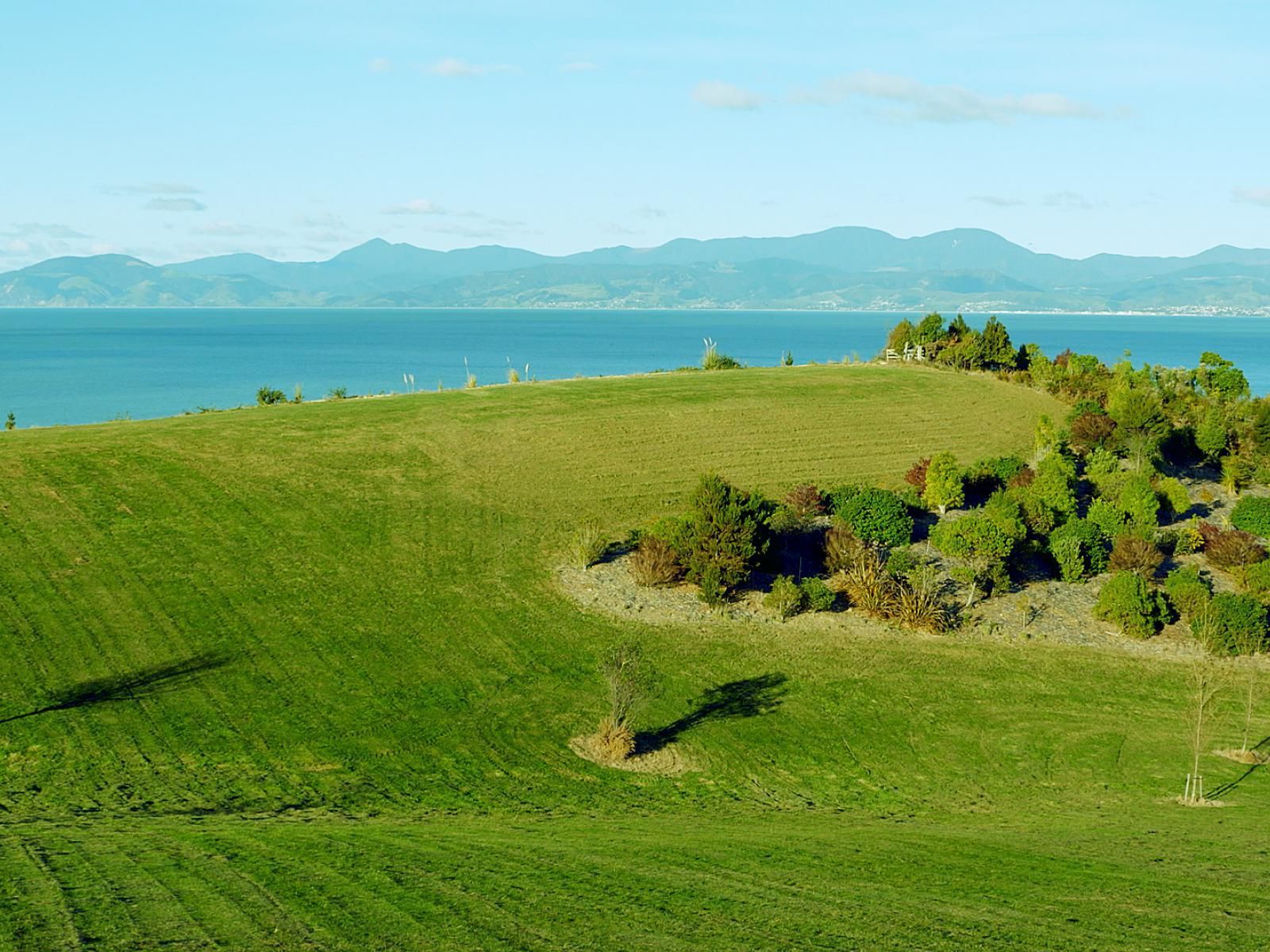 19 Permin Road, Tasman, Tasman, 3 Kuwarto, 0 Banyo