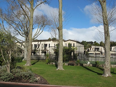 Residential  Terrace Housing and Apartment Building Zone