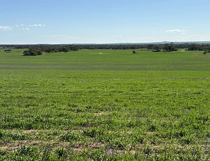 Lot 52 Larne Drive, Mount Wedge, Outback, 0房, 0浴, Lifestyle Property
