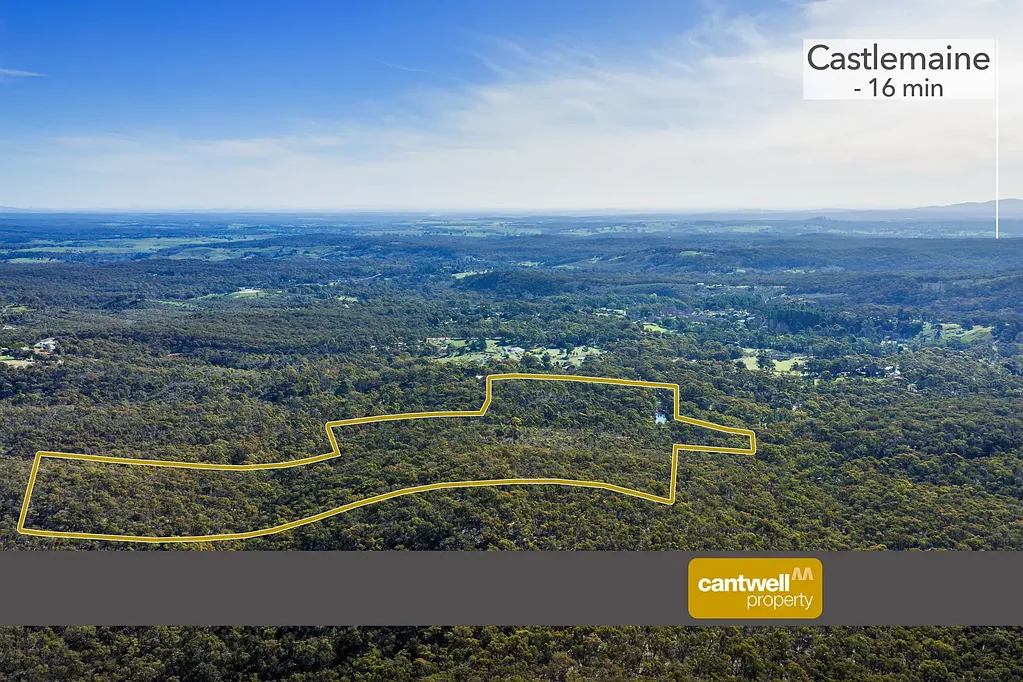 Fryerstown Wattle Ridge – A Bushland Sanctuary in Fryerstown