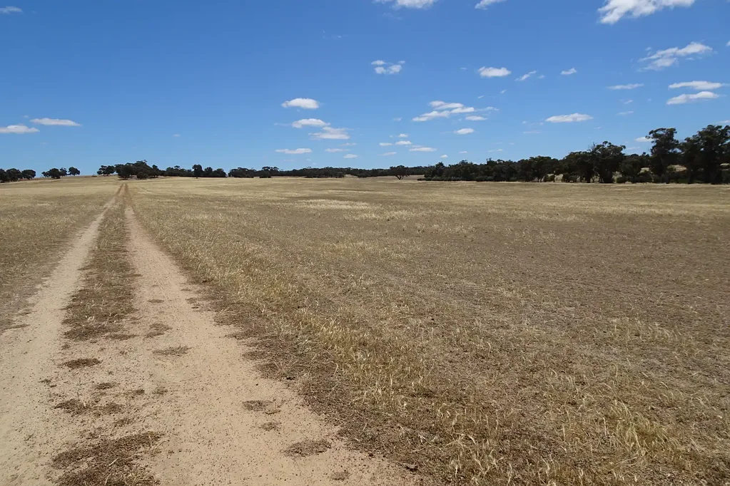  Watson Road, Wagin, WA 6315