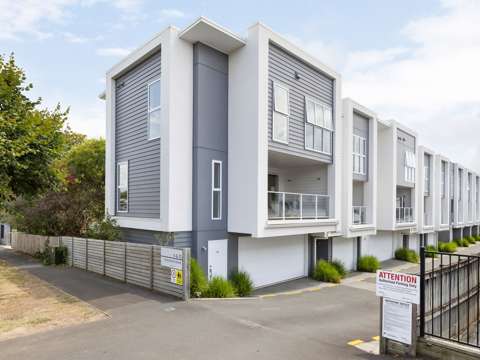 Hamilton Central 3房  Double Garage In Town