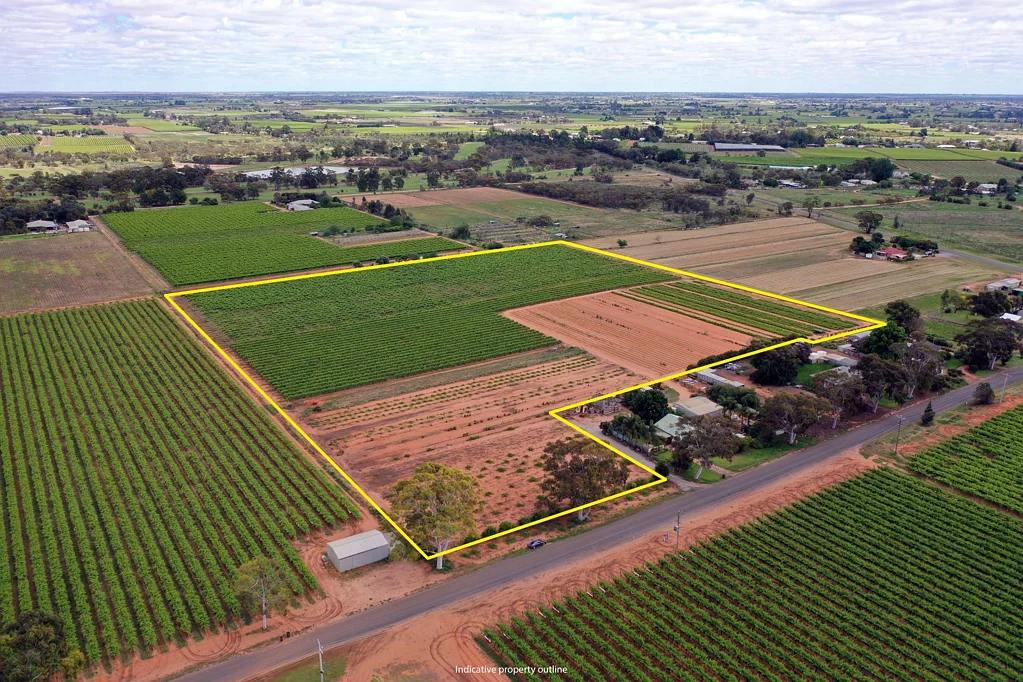 Irymple  IRYMPLE VINEYARD & NURSERY