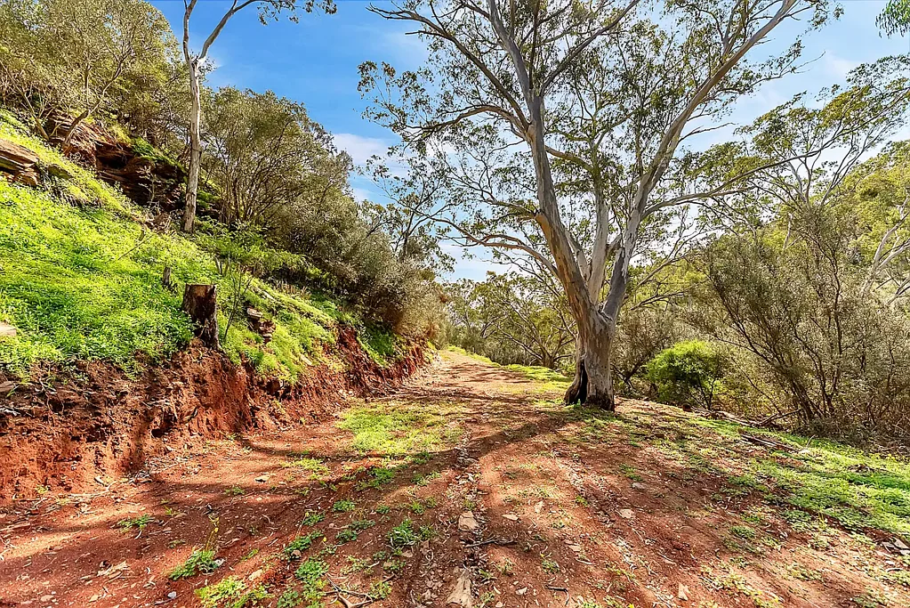 Lot 96 Norton Summit Road, Teringie, SA 5072