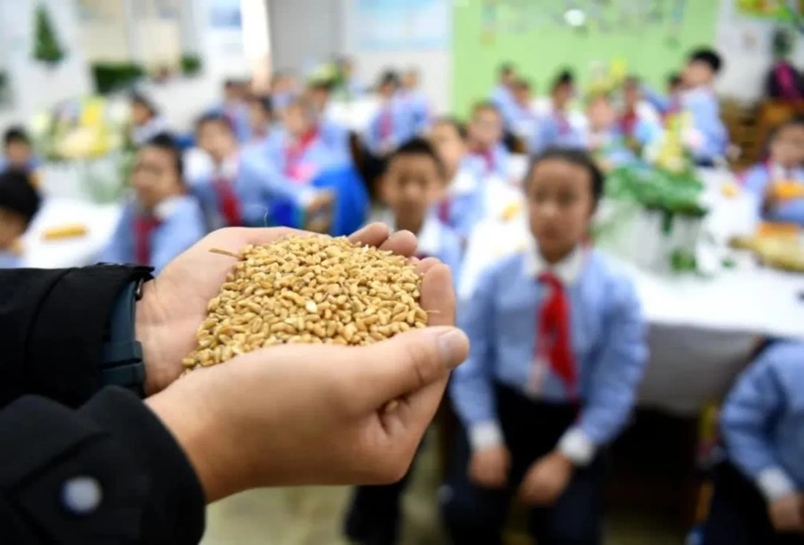 多国禁出口有国家粮仓只够3个月！联合国预警粮食危机，中国要担心吗?