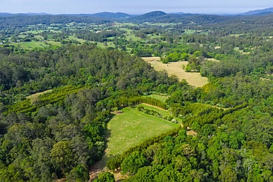 Lot 152 Stewarts River Road, Lorne, NSW 2439, 0房, 0浴, Lifestyle Property