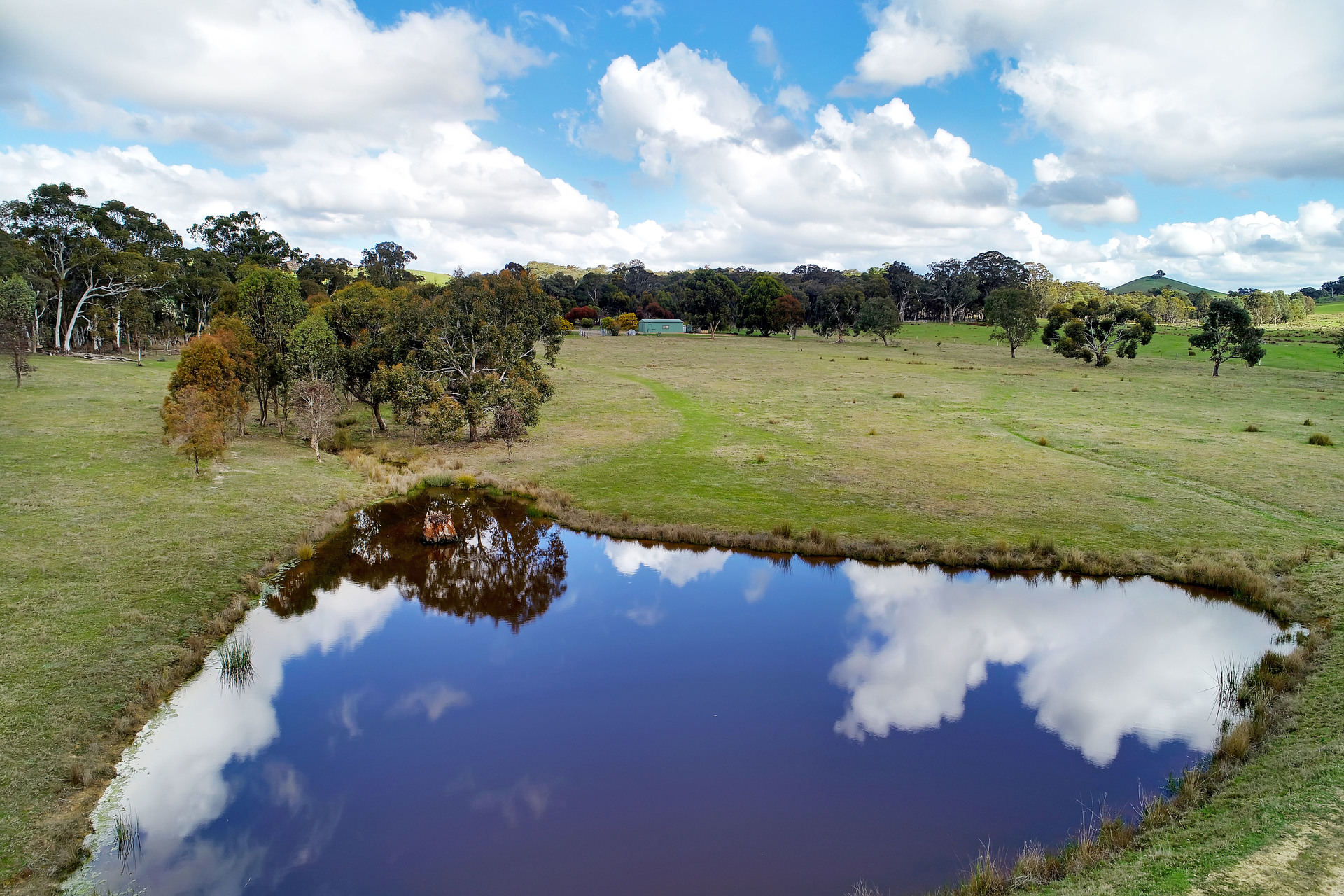 196 OLD GOBUR RD, MERTON VIC 3715, 0 침실, 0 욕실, Lifestyle Property