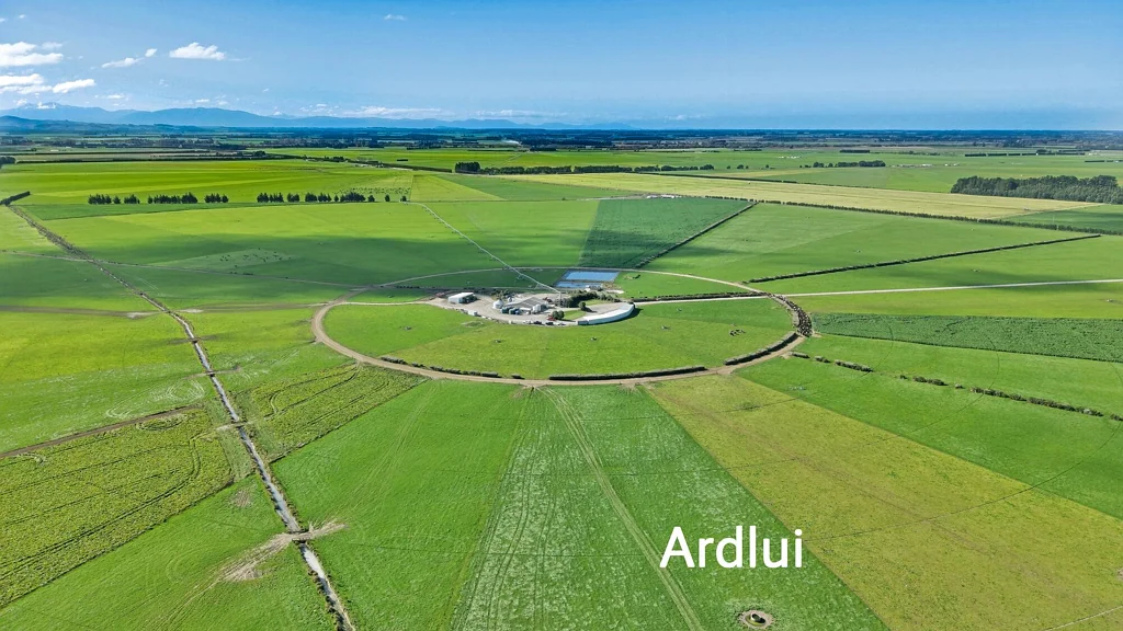 Dunsandel First Class Dairy Farming Portfolio