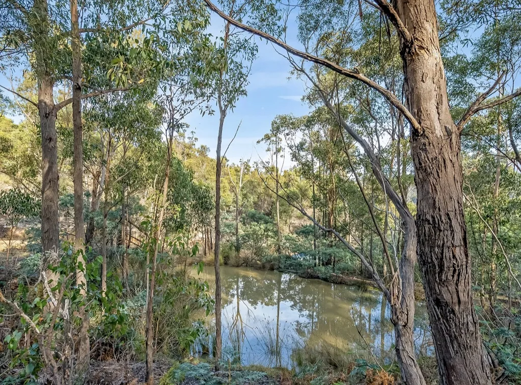Dromedary A Lifestyle Awaits! Bush Property 25 Minutes To Hobart CBD