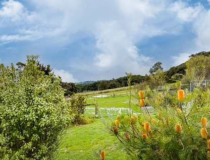 515 Sheepstation Creek Road, Hoddles Creek, VIC 3139, 6 rūma, 4 rūma horoi, Lifestyle Section