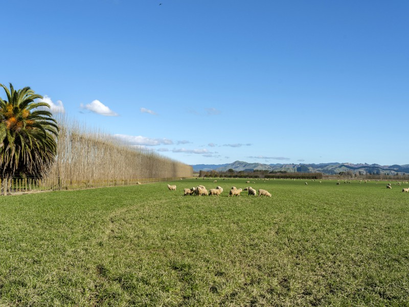 363 Matawai Road, Hexton, Gisborne, 0 ਕਮਰੇ, 0 ਬਾਥਰੂਮ