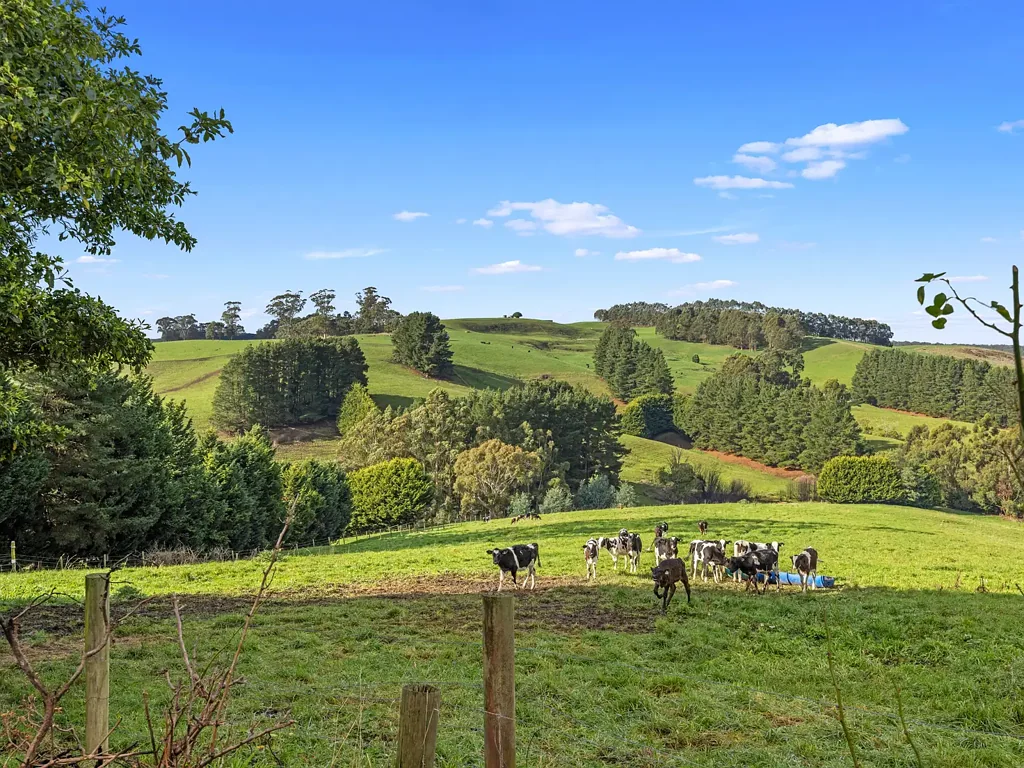 48 Bells Road, Mount Eccles, VIC 3953