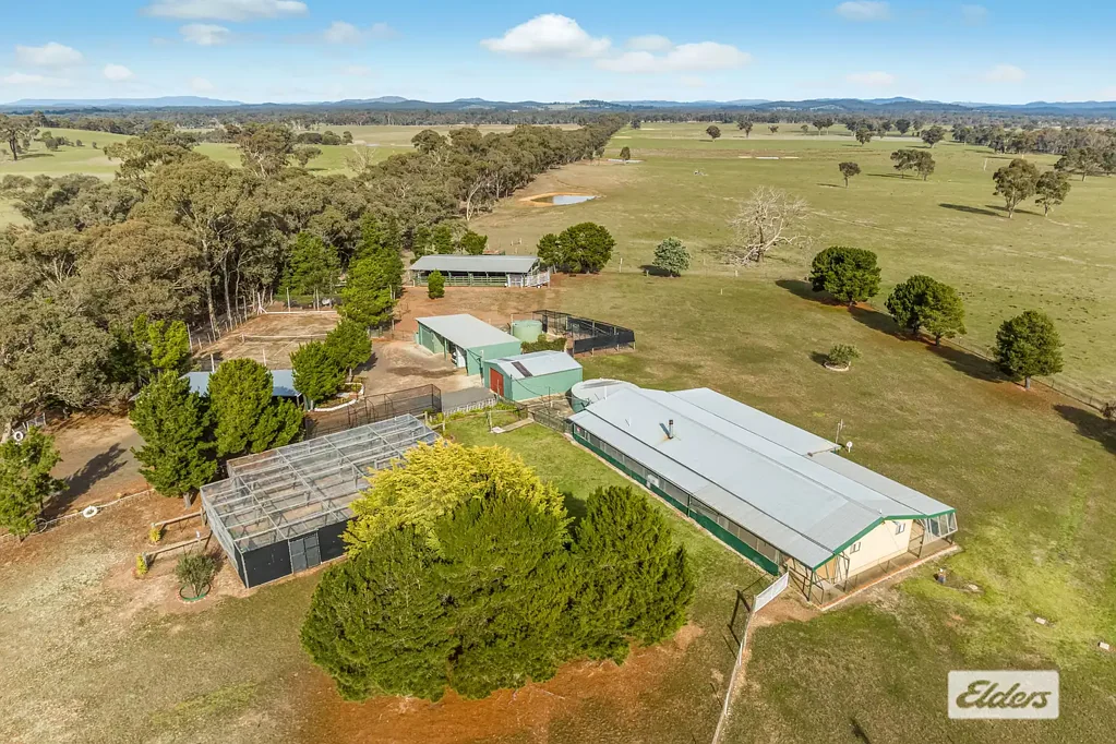 Moormbool West  276 Acres /111 Hectares (Approx) – Homestead, Extensive Shedding and Abundant Water