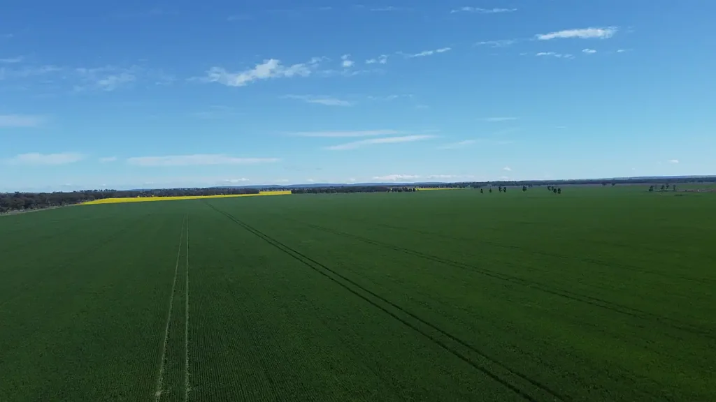Parkes Quality Cropping Country in a Private Setting with High Productivity + CROPS NEGOTIABLE