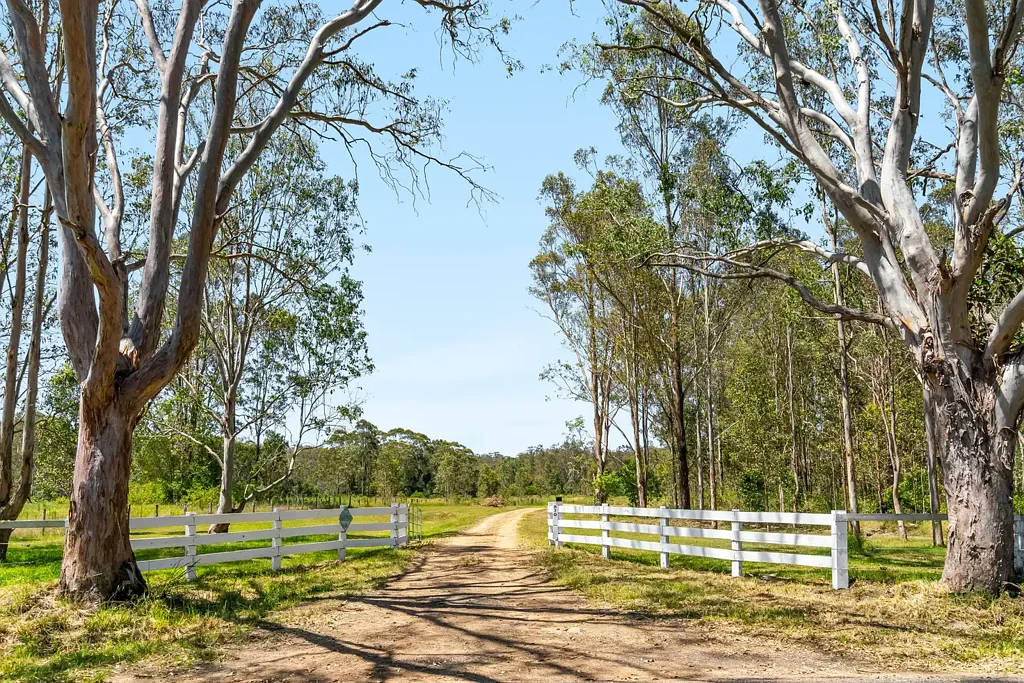 870 Mongogarie Road, Mongogarie, NSW 2470