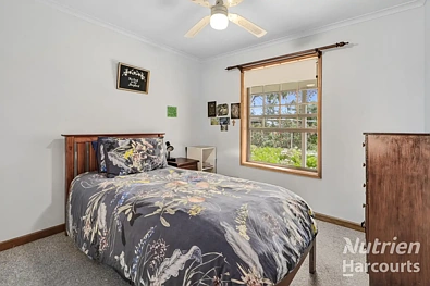 9 Eighth Street, Renmark, SA 5341, 3房, 2浴, House