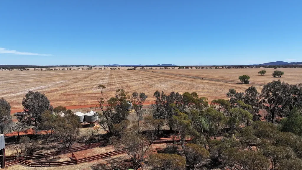 Rankins Springs Prime Cropping Country