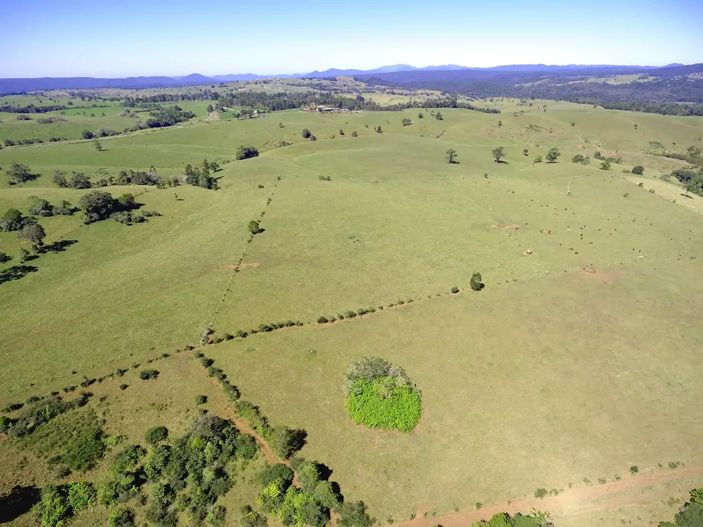 Millaa Millaa  ROLLING GREEN HILLS