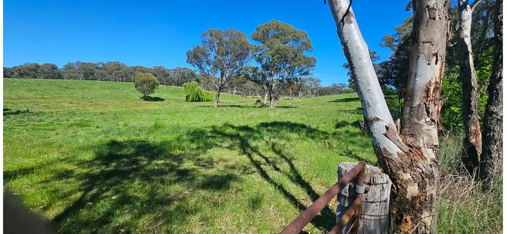 Race Creek Rd, Wombat via, Young, NSW 2594