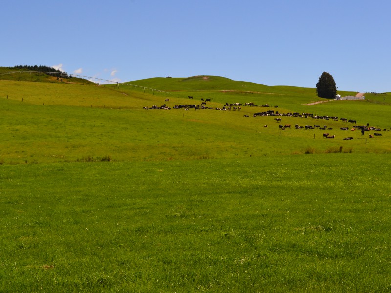 633 Coal Pit Road, Enfield and Surrounds, Waitaki, 2 ਕਮਰੇ, 0 ਬਾਥਰੂਮ