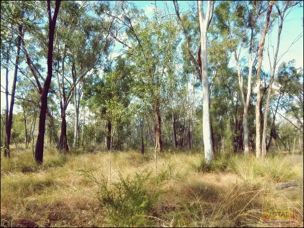 Condamine Farms TOTAL Imagination is Everything, Dam, Seasonal Creeks on 316 Acs (128.1ha), Off Grid, Private