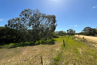 其他 - LOT 9 Flinders Highway, Wangary, SA 5607
