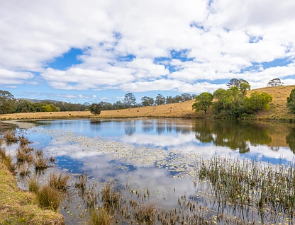 1276 Manning Hill Road, Bunyah, North Coast, 4 habitaciones, 1 baños, Lifestyle Property