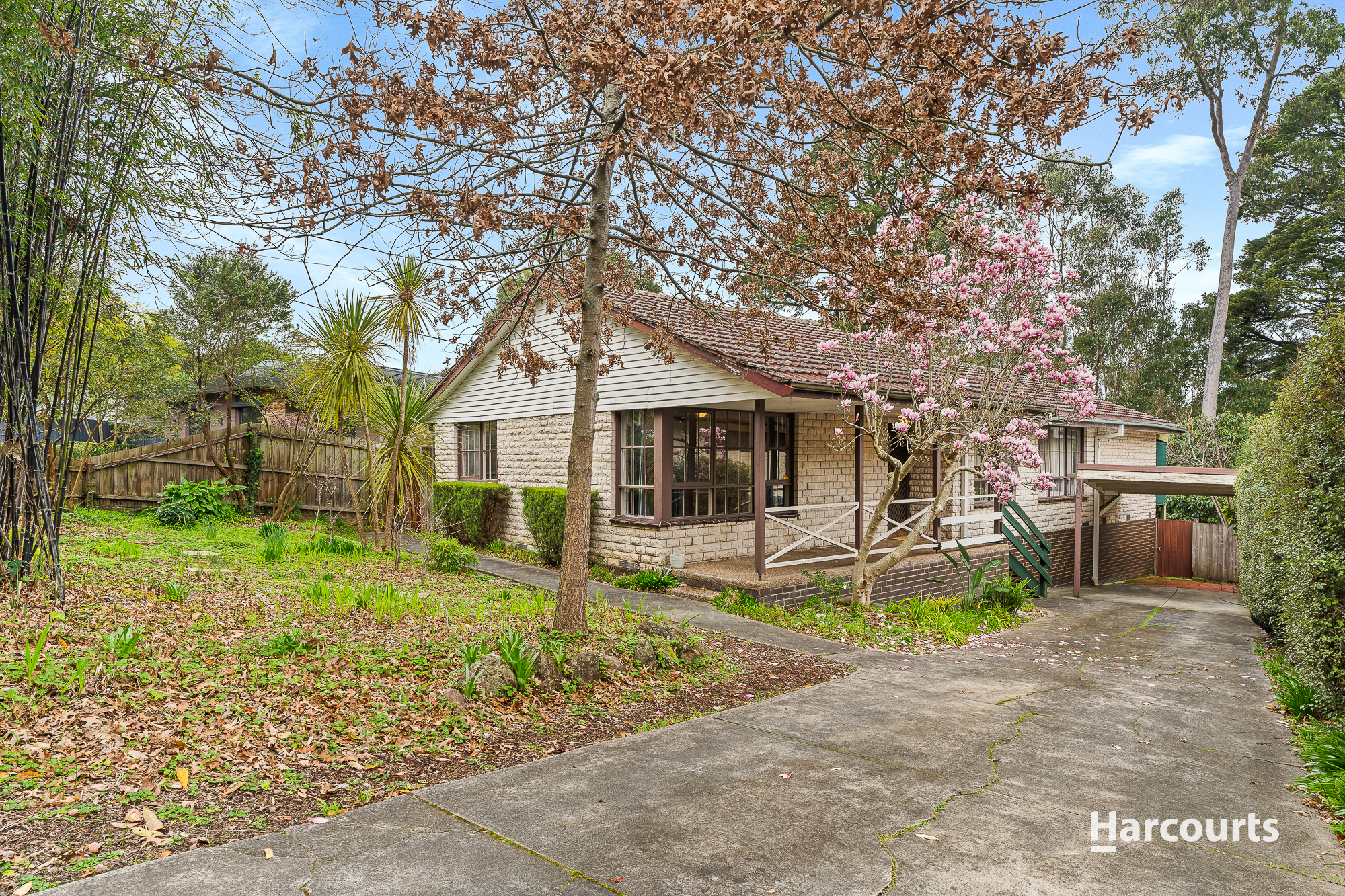 37 SONIA ST, RINGWOOD VIC 3134, 0 Bedrooms, 0 Bathrooms, House