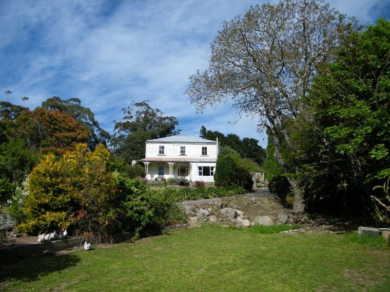 Rural Banks Peninsula