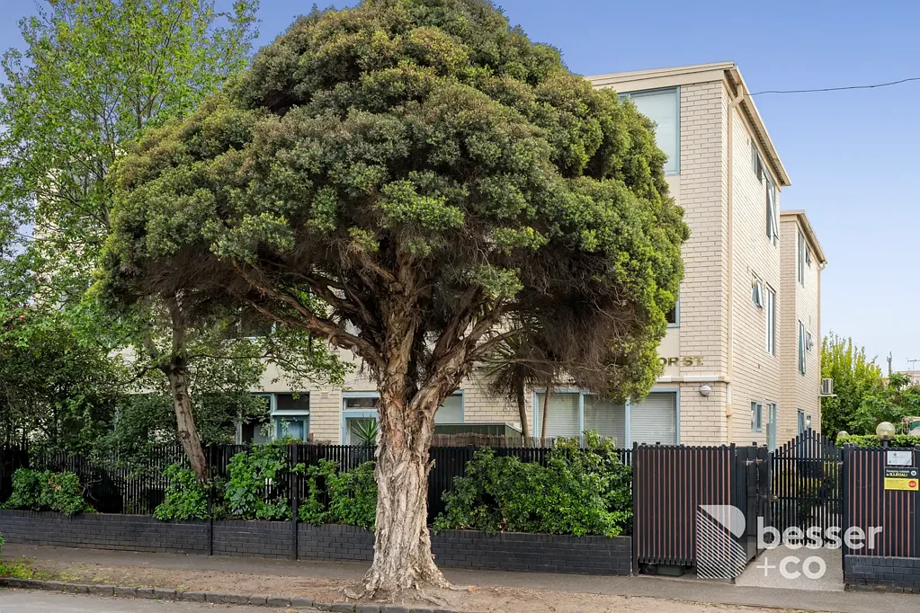 Balaclava 2Moenga A Leafy, Light-Filled Haven in the Heart of Balaclava