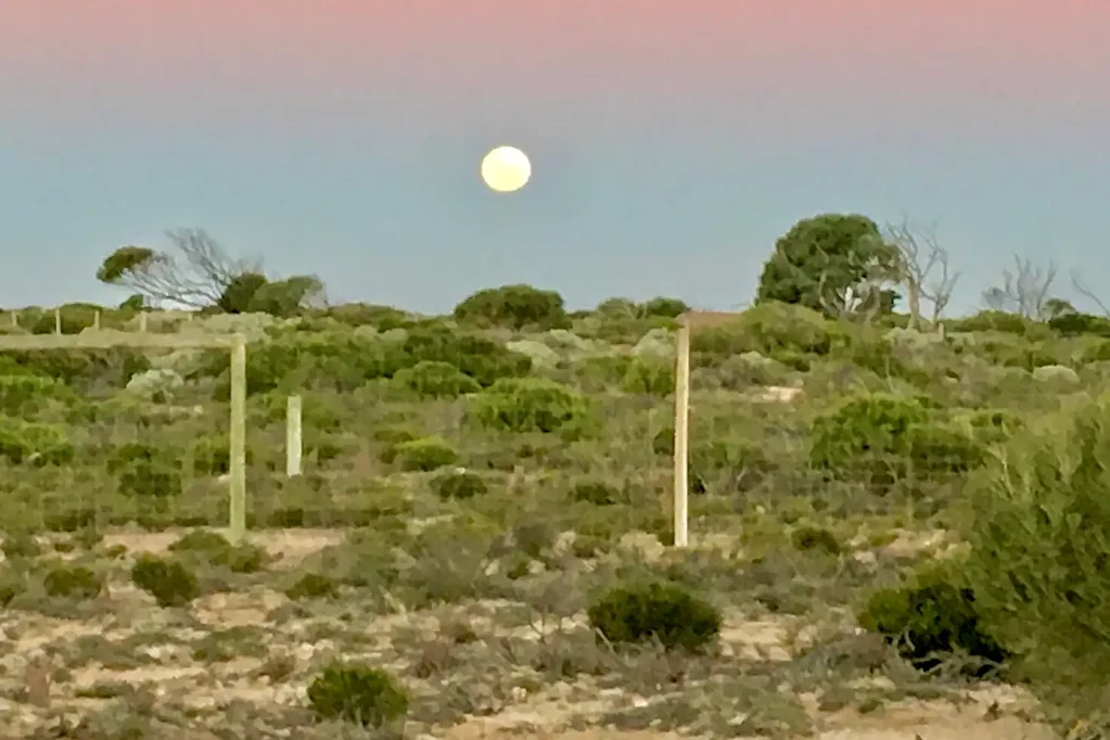 Fowlers Bay Off-Grid Coastal Escape on Two Titles
