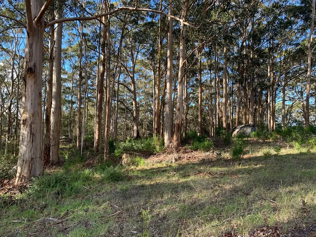 Shadforth Ideal Lifestyle Lot