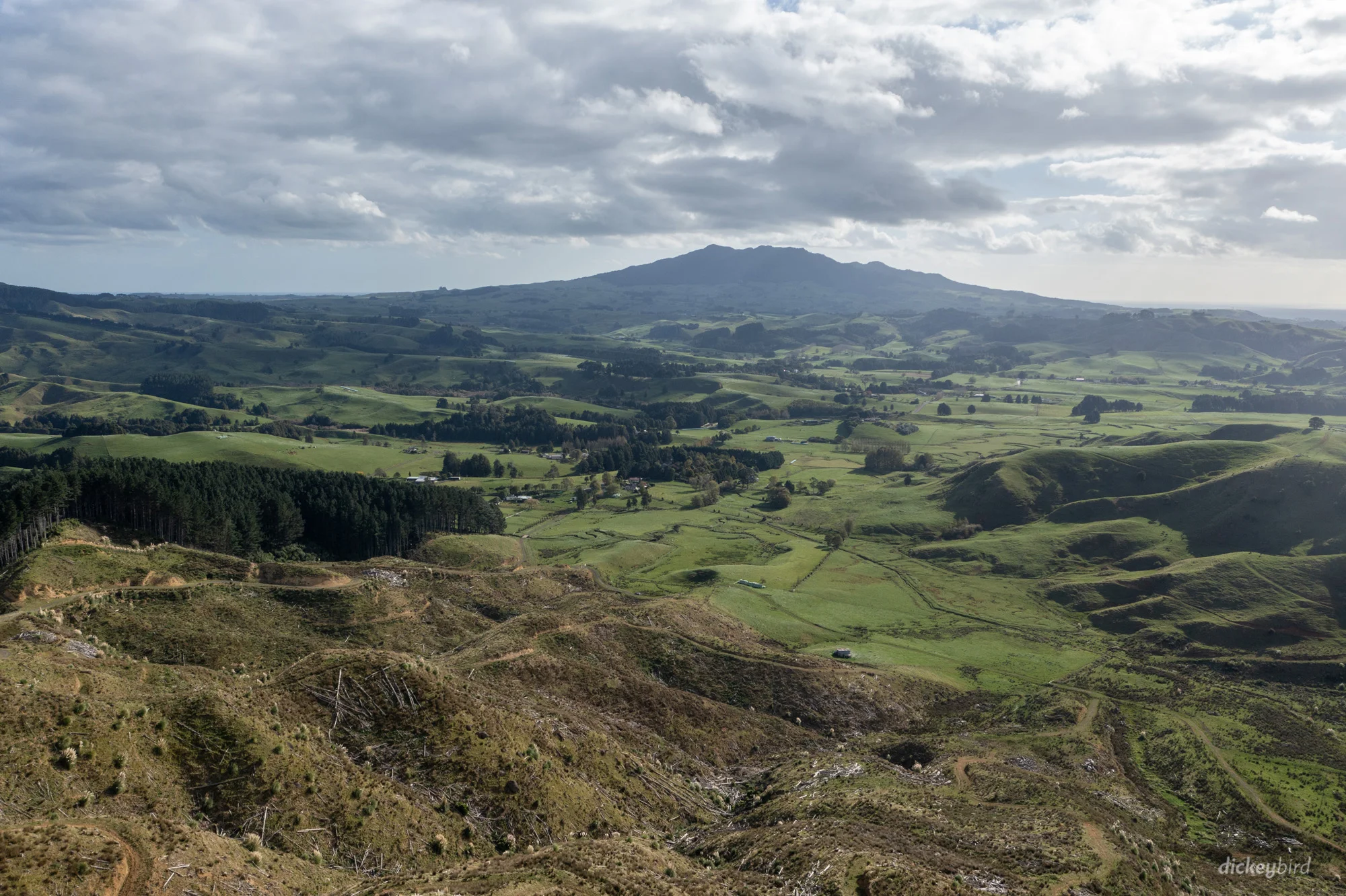 Pond Road, Raglan, 1 Schlafzimmer, 1 Badezimmer, Unspecified