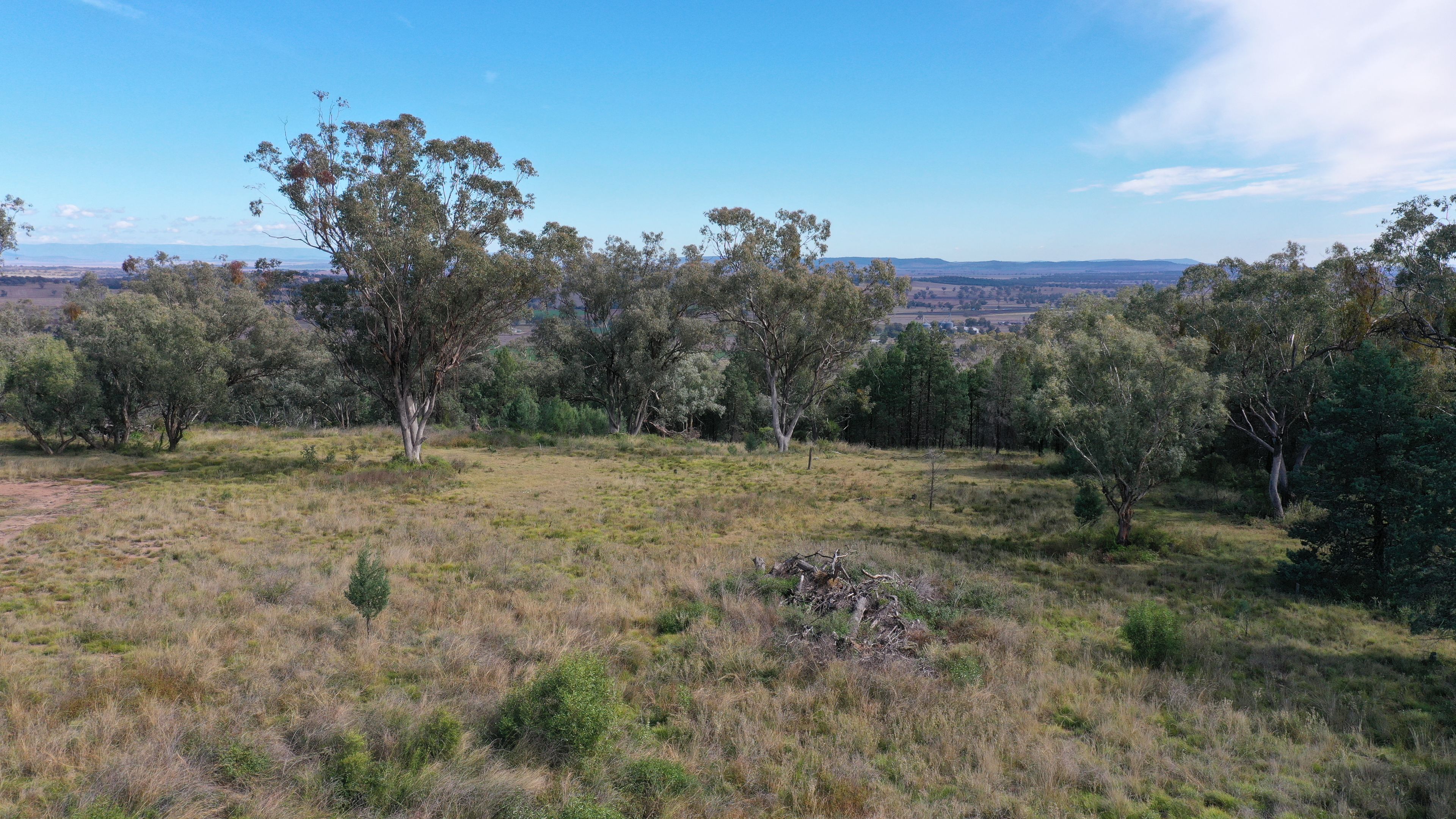 73 RAY CARTER DR, QUIRINDI NSW 2343, 0 habitaciones, 0 baños, Lifestyle Property