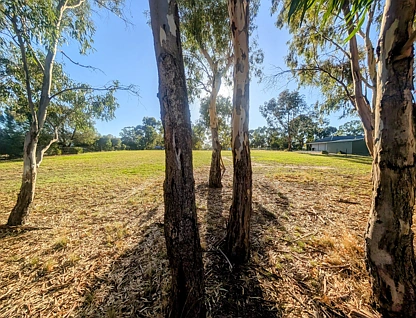 59 Marian Drive, Tocumwal, Murray, 0 Bedrooms, 0 Bathrooms, Section
