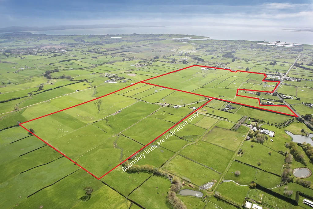 Karaka Once in a lifetime opportunity - Two titles