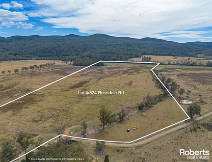 LOT 4, 11, 12, 13/524 Rosedale Road, Bicheno, South East, 0 ห้องนอน, 0 ห้องน้ำ, Section