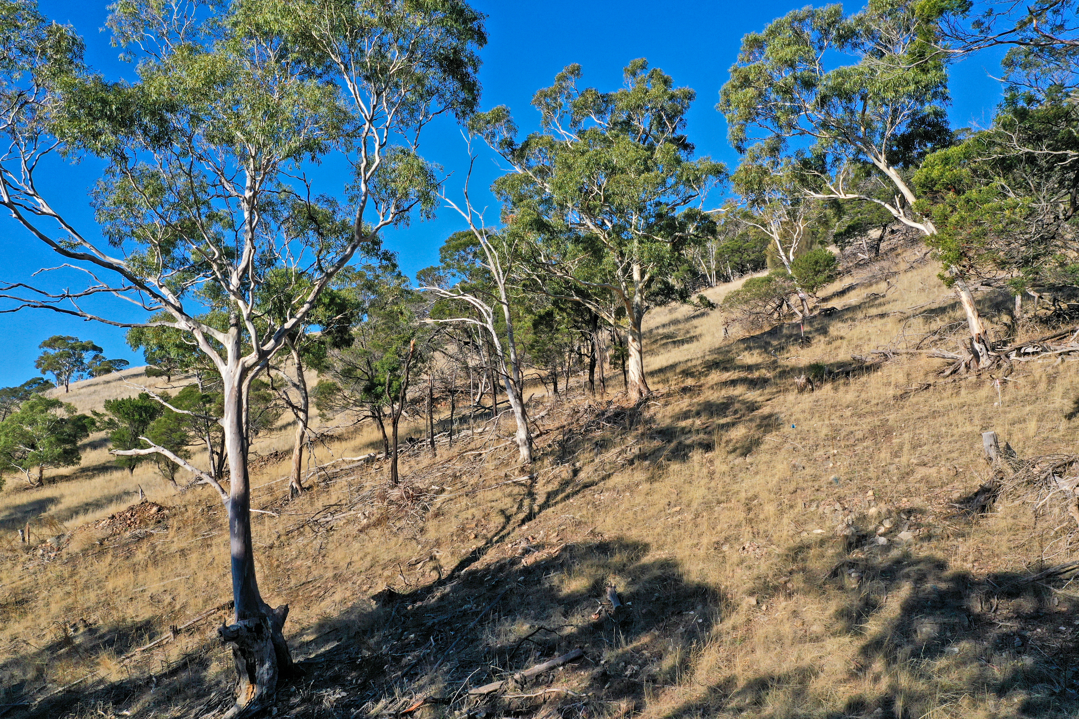 29 BLACK SWAN RISE, GRANTON TAS 7030, 0 Bedrooms, 0 Bathrooms, Section