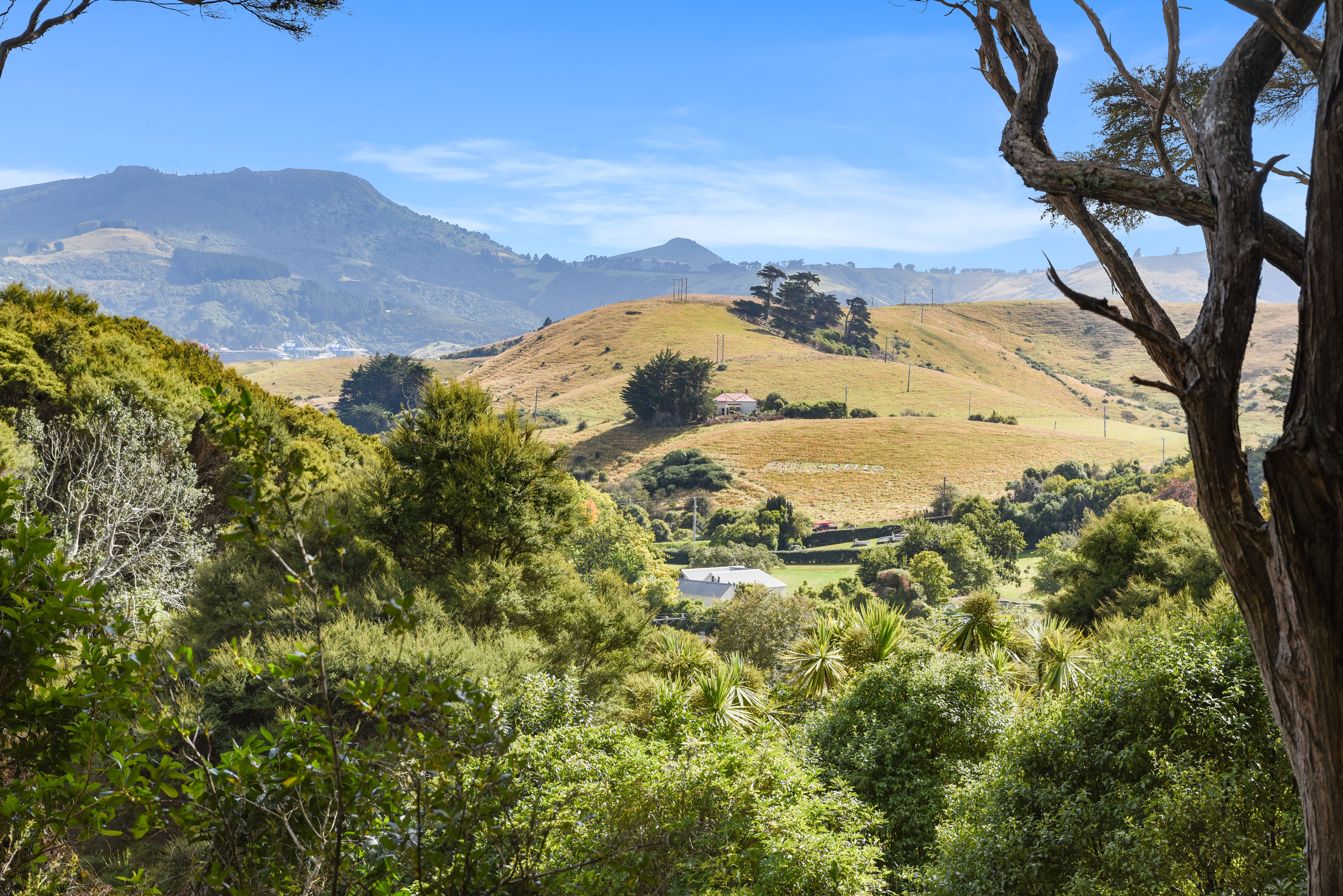 2 Treetop Drive, Portobello, Dunedin, 0 habitaciones, 0 baños, Section