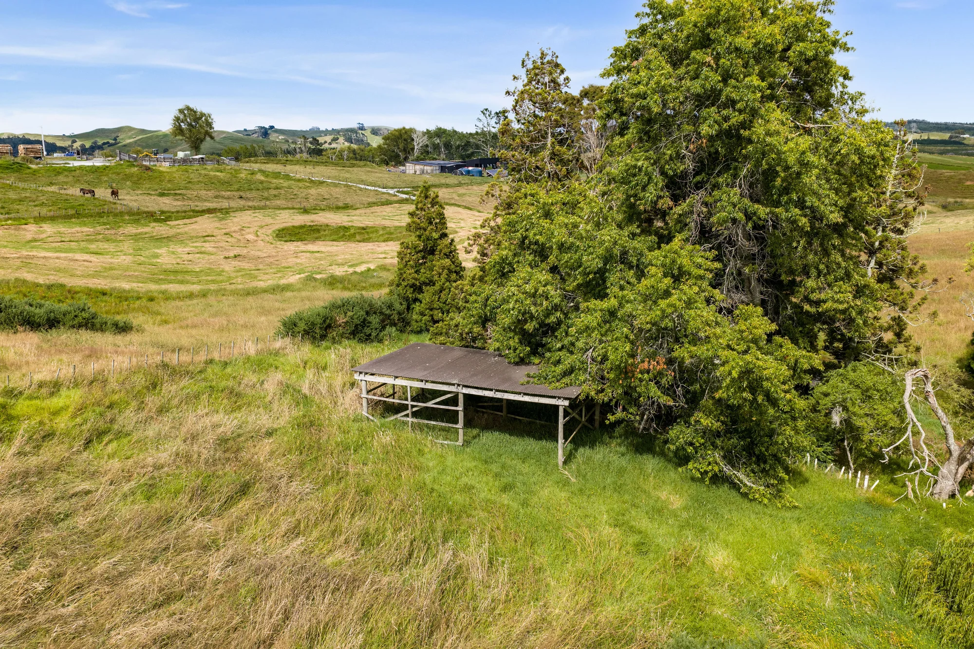 20 Ross Road, Topuni, Auckland, 0 Bedrooms, 0 Bathrooms, Lifestyle Section