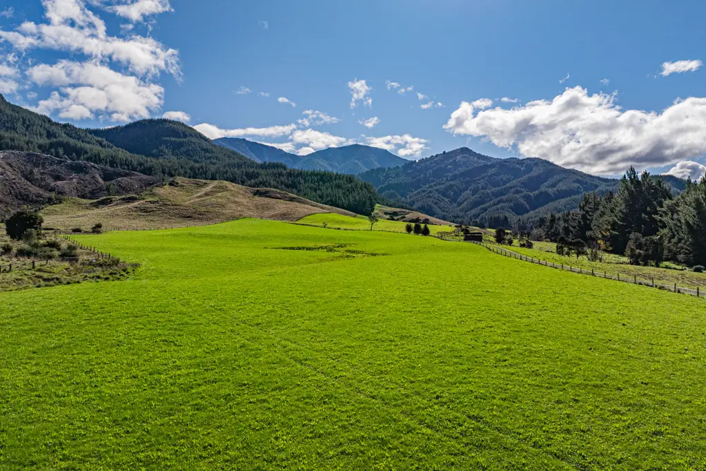 Ngatimoti Graze, crop, or build on 101 hectares
