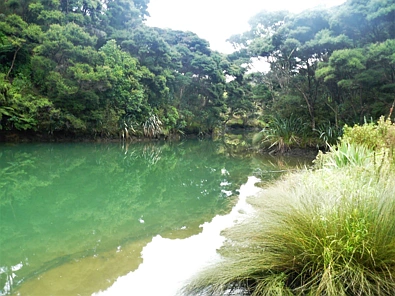 236 Redcliffs Road, Kerikeri, Far North District, 0房, 0浴, Lifestyle Section