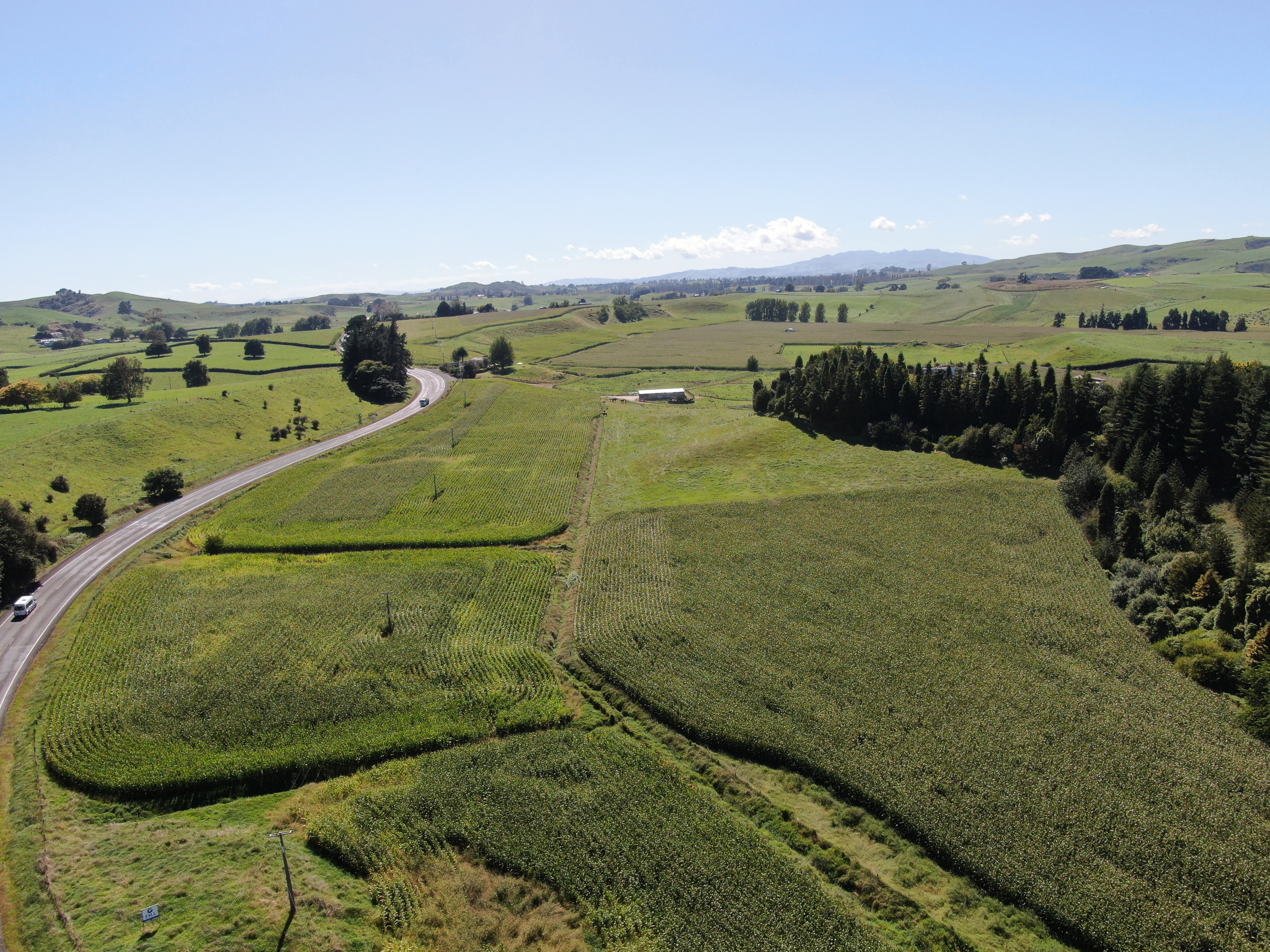 1375 State Highway 3 Otorohanga Road, Otorohanga, Otorohanga, 0 غرف, 0 حمامات, Specialist Livestock