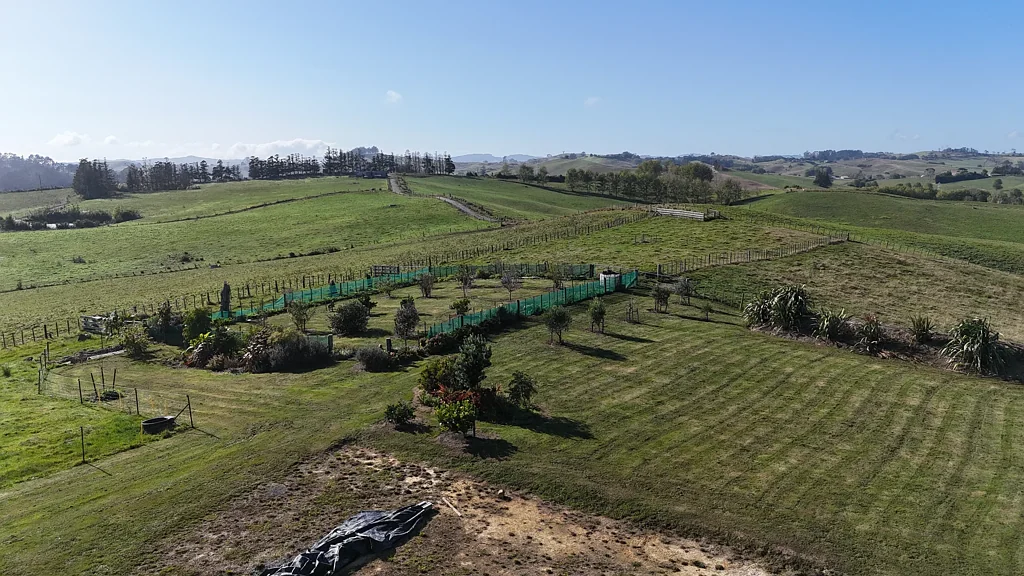 Wellsford Space, Serious Potential, Elevated Opportunity!