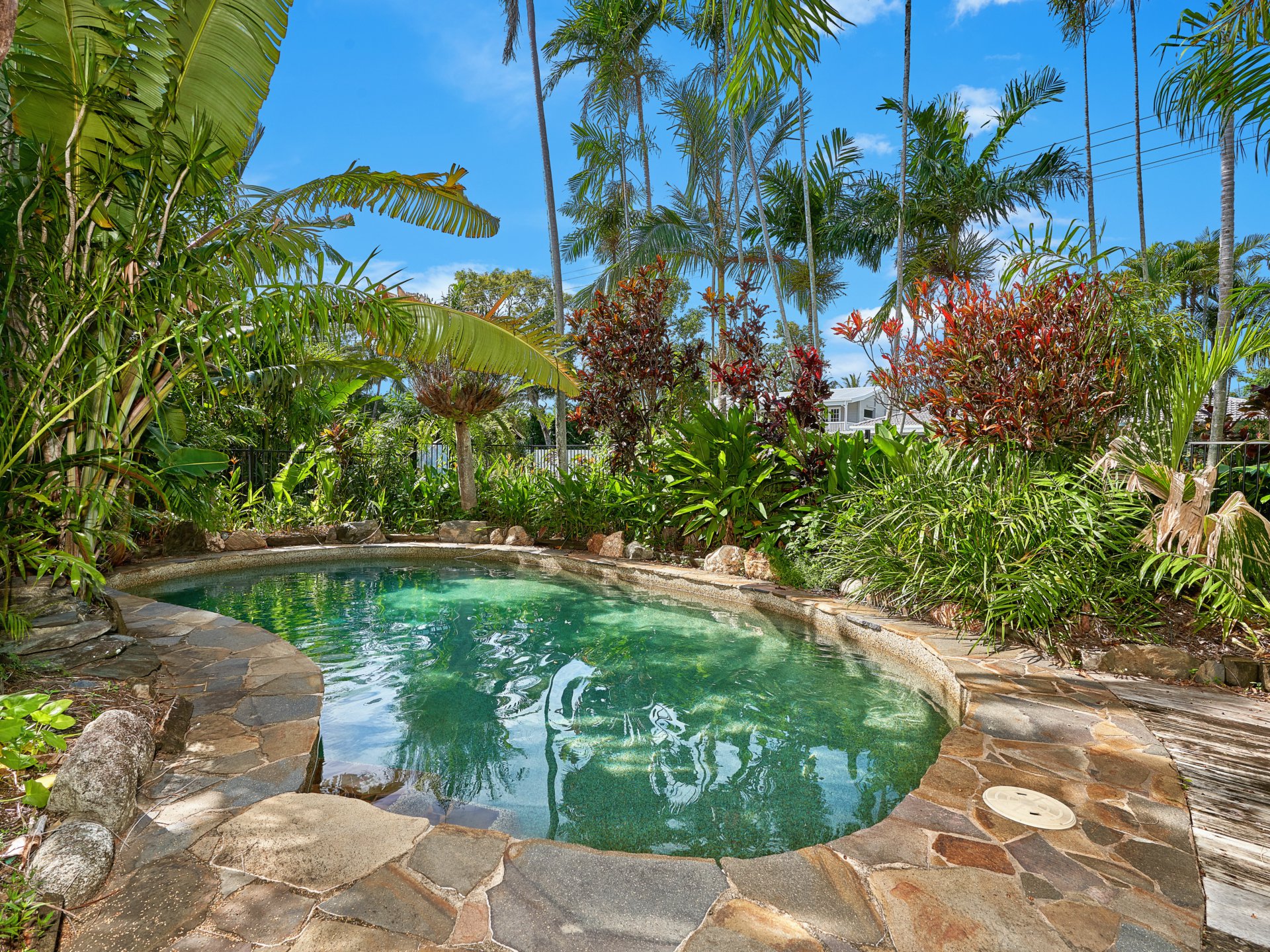 50 TEREBRA ST, PALM COVE QLD 4879, 0部屋, 0バスルーム, House