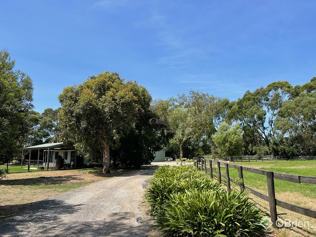 Somerville 8 Blissful Acres; Horse Lover's Delight!