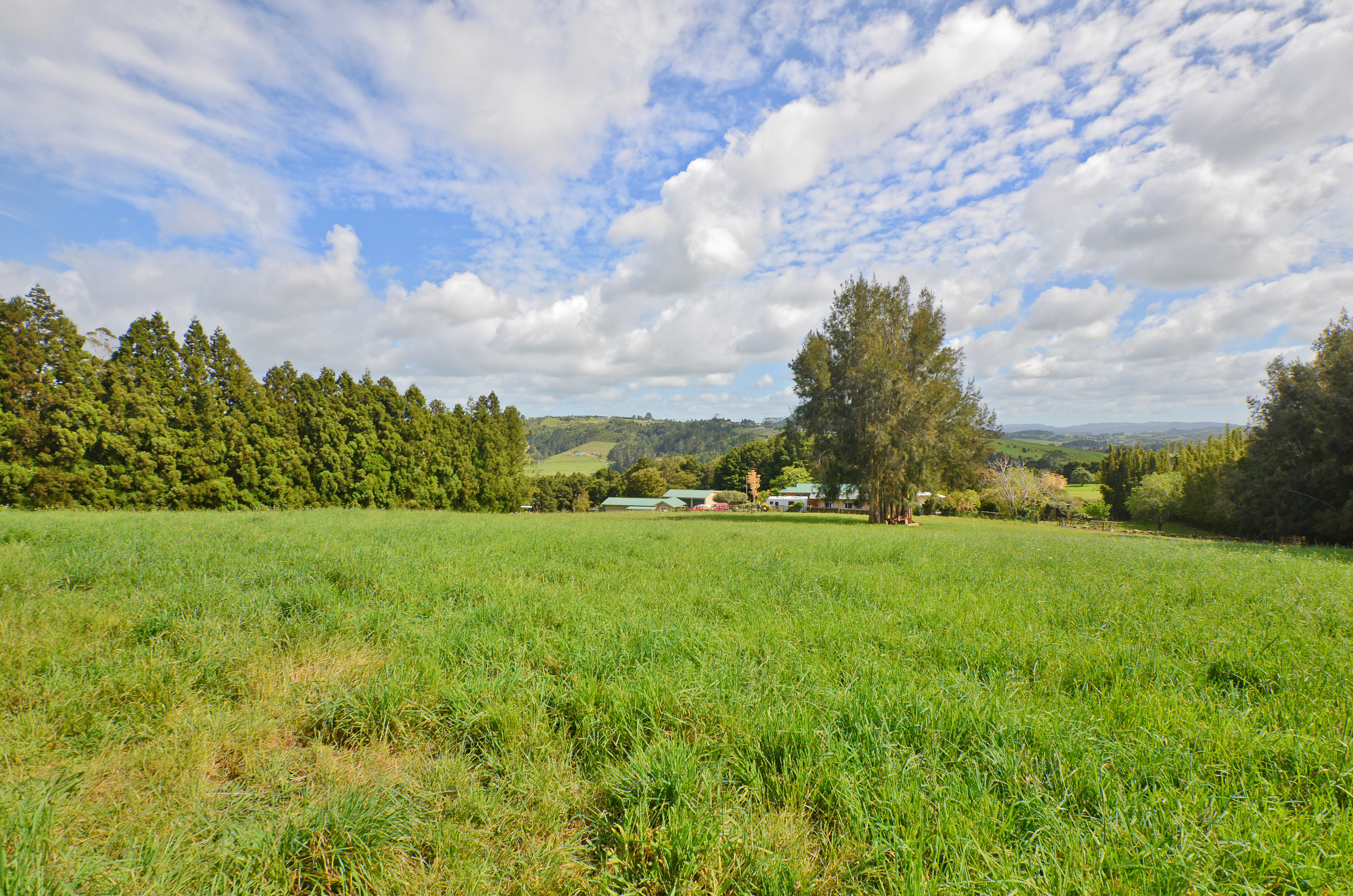 217 Apotu Road, Kauri, Whangarei, 5 phòng ngủ, 0 phòng tắm