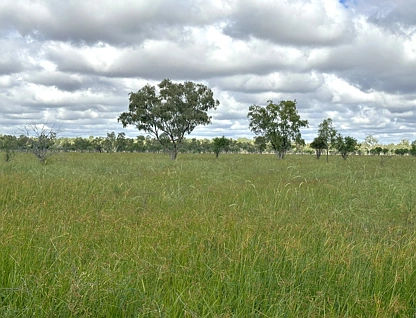 ਪਤਾ ਗੁਪਤ, Barcaldine, QLD 4725, 3 ਕਮਰੇ, 3 ਬਾਥਰੂਮ, Lifestyle Property